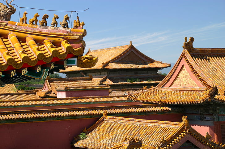 roof, china, dragon, architecture, beijing, palace, ornament