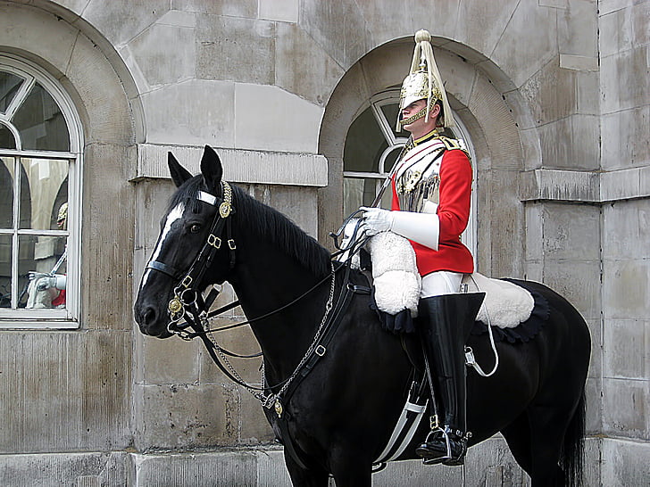 cavall, Guàrdia, Londres, anglès
