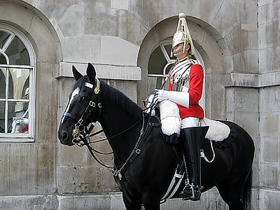 cheval, garde, Londres, Anglais