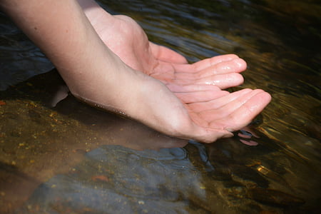 l'aigua, nivell d'aigua, mans, palmes, noi, Dom, corrent