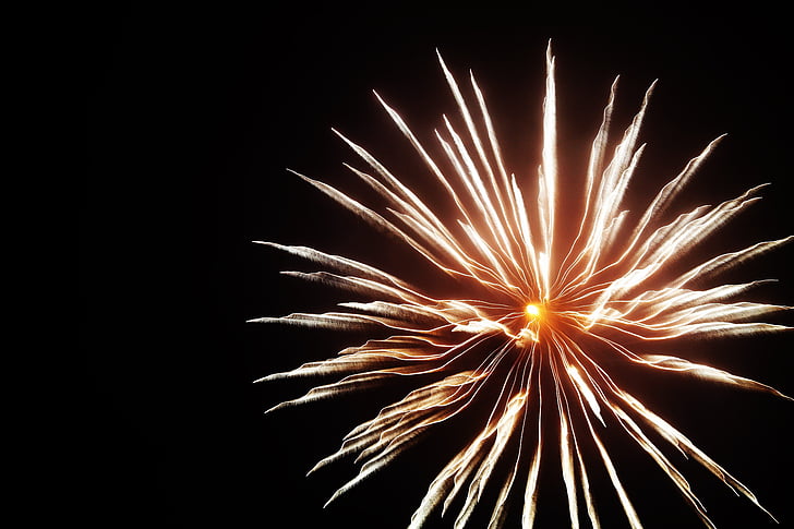 fireworks, shape, flower, brightness, new year