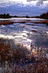 winter landscape, ice, nature, thaw, colors, water, trees
