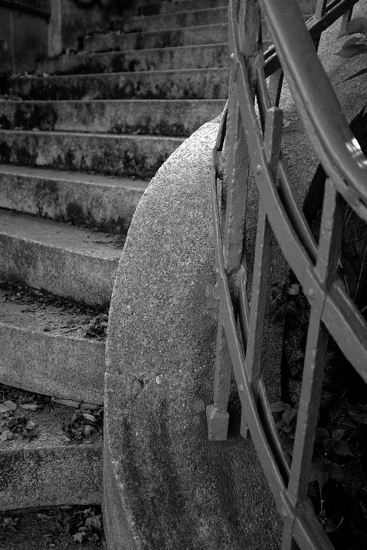 greyscale, photo, staircase, autumn, nature, pattern, tree
