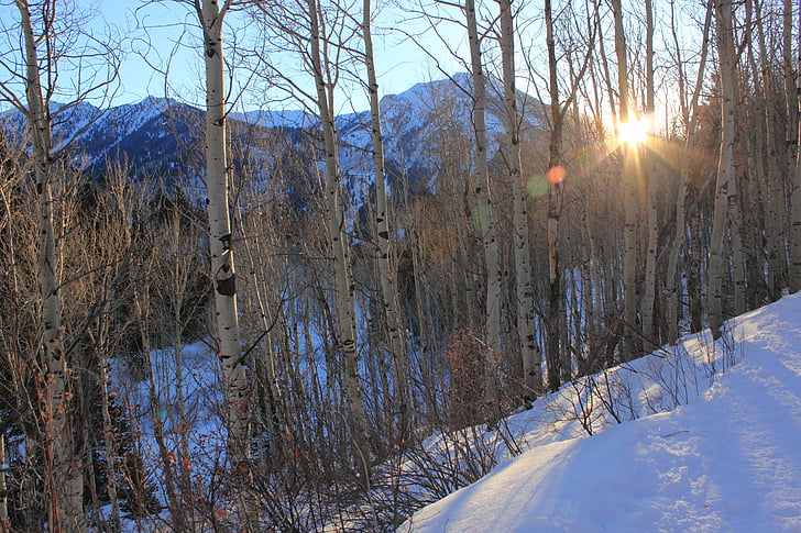 Cânion de choupo grande, Utah, Inverno, pôr do sol, montanha, Canyon, natureza