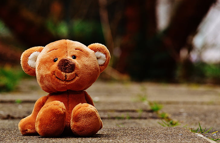 Igračke za djecu Bear-teddy-soft-toy-stuffed-animal-preview