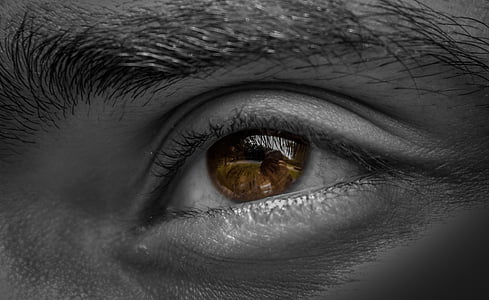 hnedé oči, detail, oko, obočie, riasa, oči, osoba