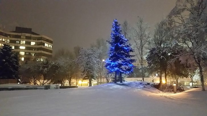 Anchorage, cây, Giáng sinh, quảng trường thị trấn, cá nhân