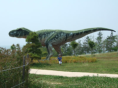 Dinosaurier-museum, Dinosaurier, pflanzenfressenden, fleischfressende