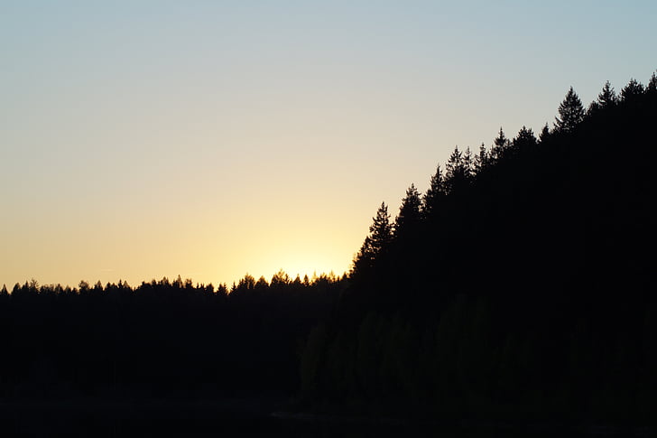skov, Sunset, sommer, landskab, træ, solstrålen, abendstimmung