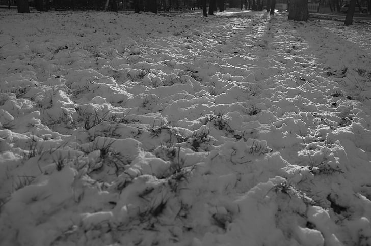snow, winter, black and white, shadow, thawed patches, grass