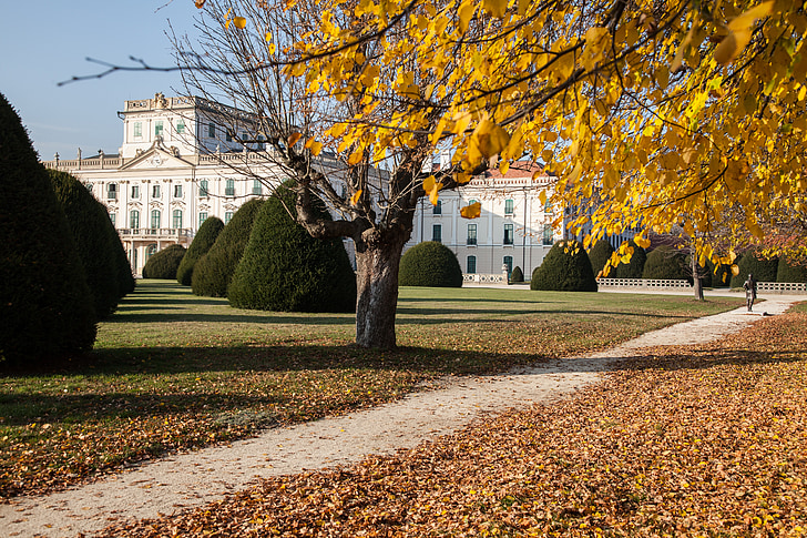 autumn, castle, building, baroque, park, architecture, rococo