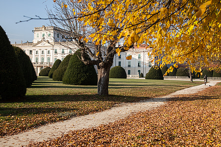 jesień, Zamek, budynek, barok, Park, Architektura, rokoko
