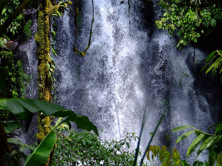wodospady, cedr, Filipiny, Natura, lasu, tropiki, zielony