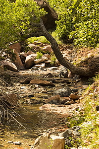 cañones de Kólob, camino de Taylor creek, Parque nacional Zion, Utah, desierto, caminata, Cañón
