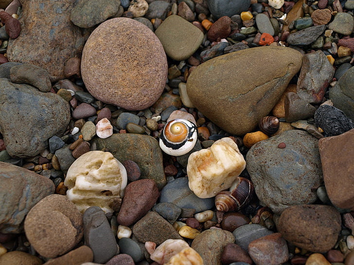 snail, shell, spiral, stones, pattern, colorful, harmonious