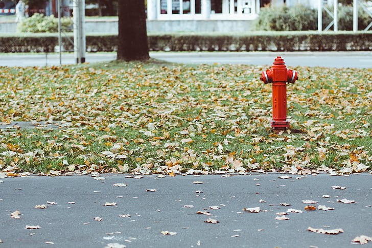 fire hydrant, leaves, grass, asphalt, outdoors, fall, autumn