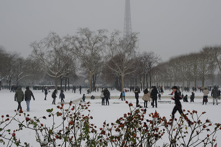 snø, Paris, Champs de mars, Eiffeltårnet, Vinter, kalde, spill