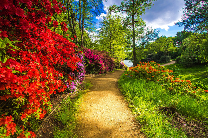 Park, Virginia vody, kvety, jar, Anglicko, Príroda, kvet