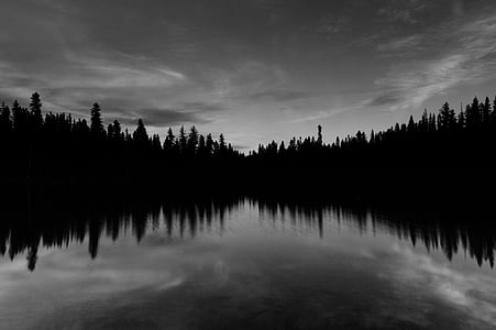svartvit, lugn, sjön, reflektion, siluett, träd, vatten