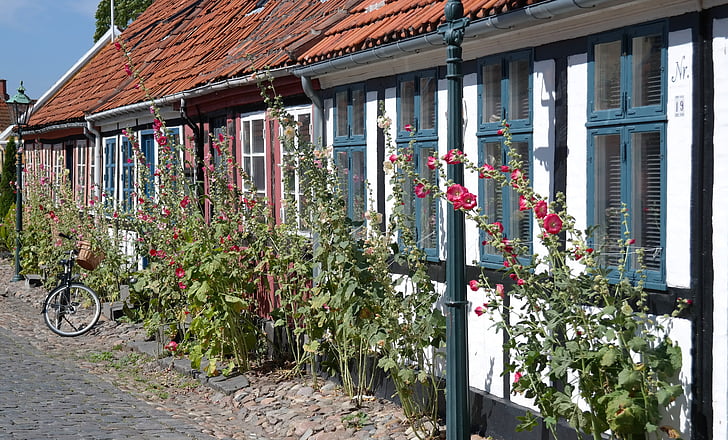 casas, velho, hollyhocks, Bornholm, Dinamarca, edifício, casas de madeira