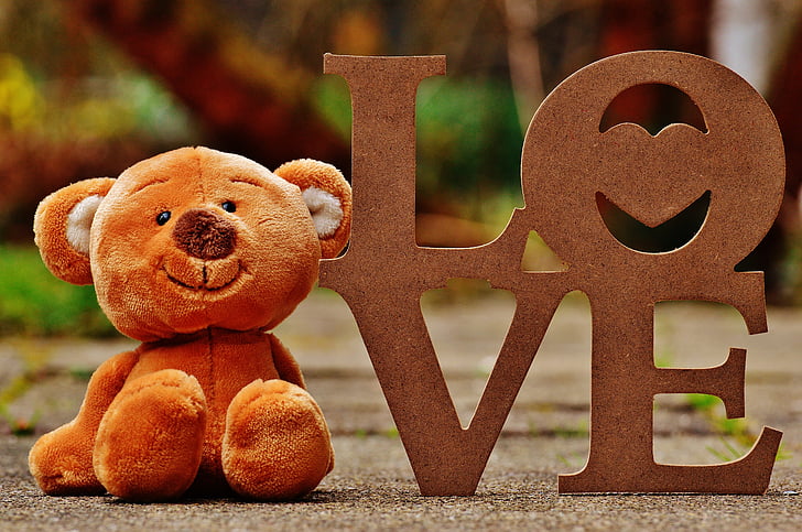 medveď, Teddy, láska, Miss, Plyšová hračka, Plyšák, medveď hnedý