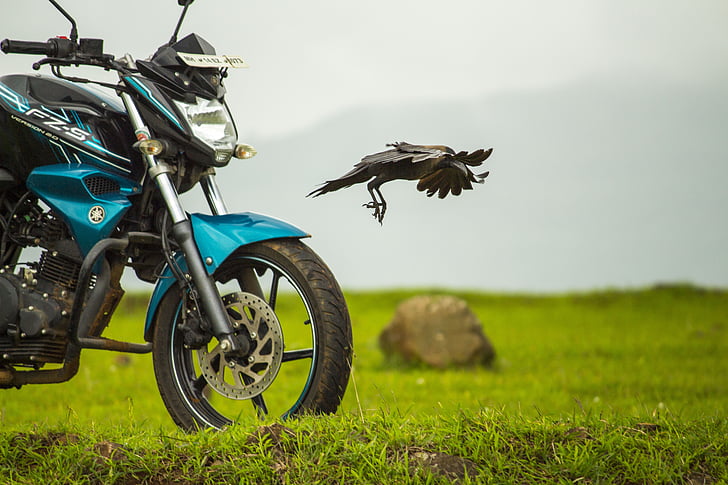 bike, yamaha, crow, flying