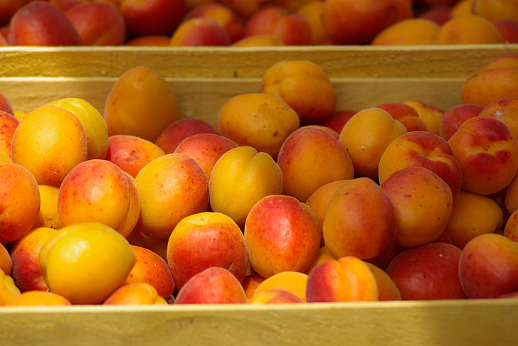 fruit, market, apricots