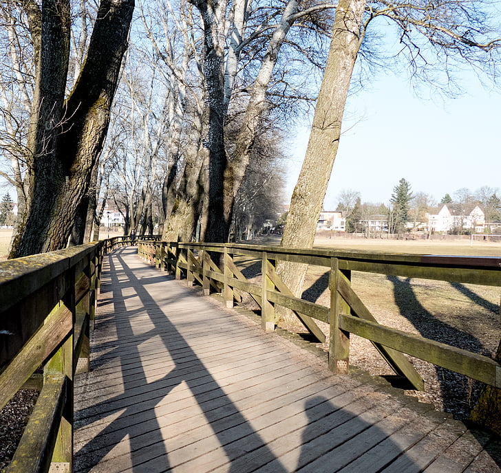 web, bridge, wooden bridge, park, nature, wood, railing