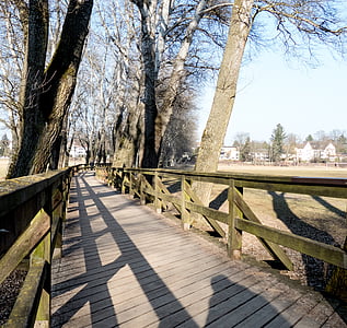 web, 桥梁, 这座木桥, 公园, 自然, 木材, 栏杆