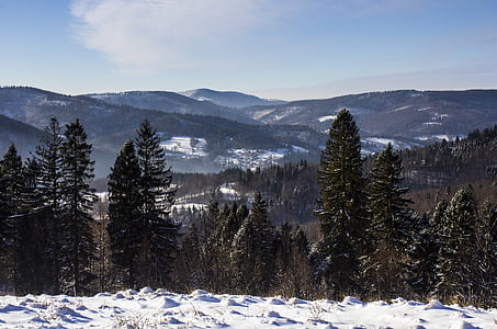 Berge, Winter, Schnee, Winter in den Bergen, Baum, Wald, Natur