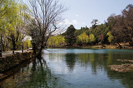 jezero, odraz, krajolik, drvo, priroda, Rijeka
