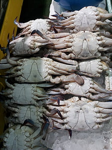 el mercado de pescado, cangrejo azul, pescado