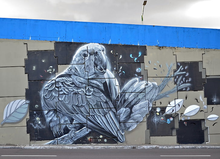 straatkunst, stedelijke kunst, Spray, Amazon, graffiti, muurschildering, Macaw