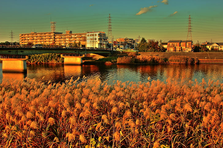 river, reed, sunset, glow, autumn, sky, bridge