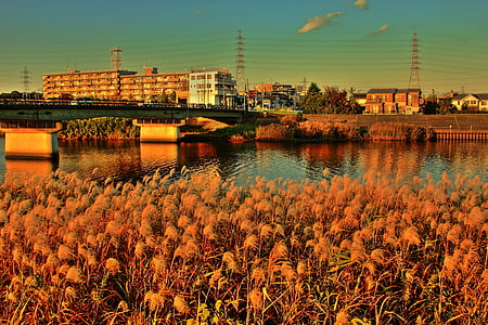 Sungai, Reed, matahari terbenam, cahaya, musim gugur, langit, Jembatan