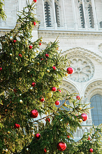 Francie, Paříž, kostel, růže na západ, detaily, Vánoční