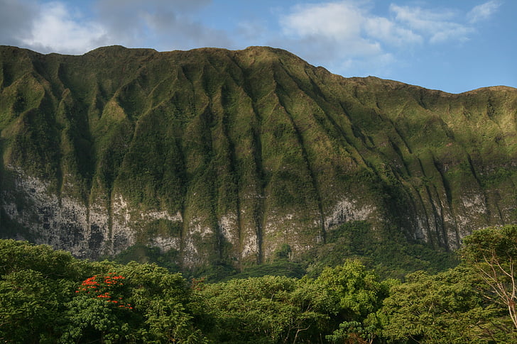 montagnes, Hawaii, nature, gamme, paysage, paysage, vert