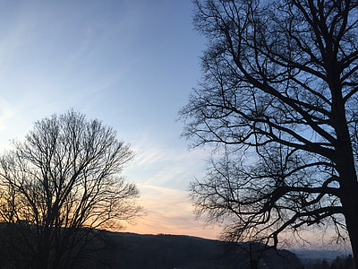 alberi, tramonto, cielo, romantica, stato d'animo, Abendstimmung, Baviera