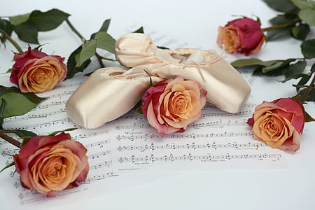 baletní střevíčky, tanec, růže, květiny, Hudba na notovém papíře, kupón, elegance