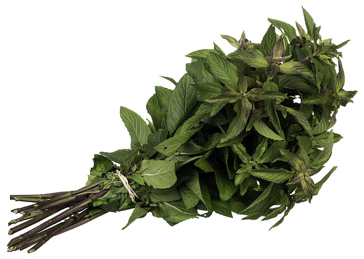 mint, spice, herb, green, leaves, food, herbal
