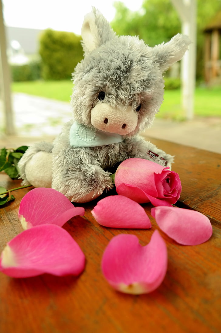 donkey, teddy bear, soft toy, stuffed animal, rose, flowers, cute