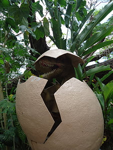 Dinosaur, jaje, nasad, gmaz, Prapovijesne, gušter, otvor
