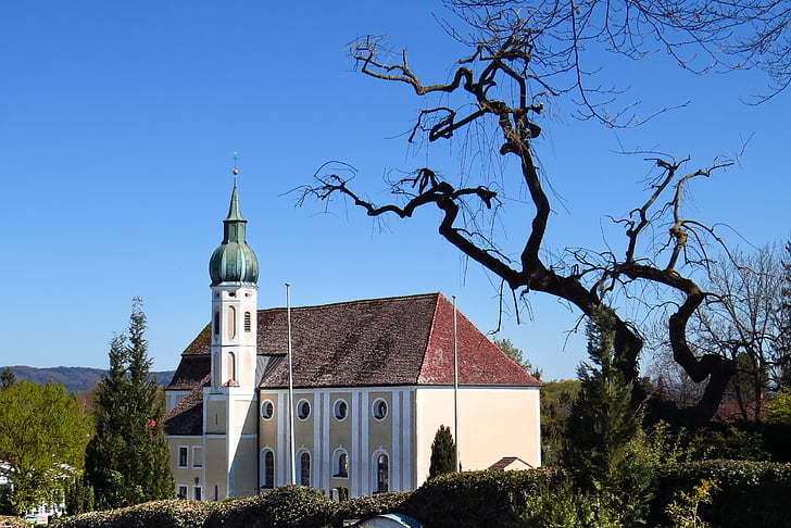 l'església, Diessen, Ammersee, arbre, vell, torçades, dießen