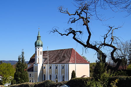 Nhà thờ, Diessen, Ammersee, cây, cũ, gnarled, Dießen