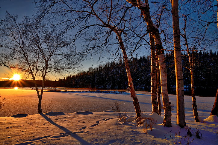 günbatımı, Kış manzarası, alacakaranlık, doğa, Renkler, ağaçlar, gün karşı