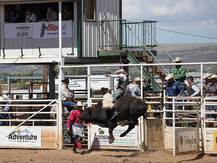 Cowboys, Bull rider, Rodeo, ember, bakugrás, Akció, Arena