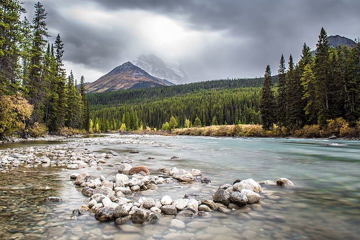 Kanada, řeka, Banff, Les, voda, Národní park, Příroda