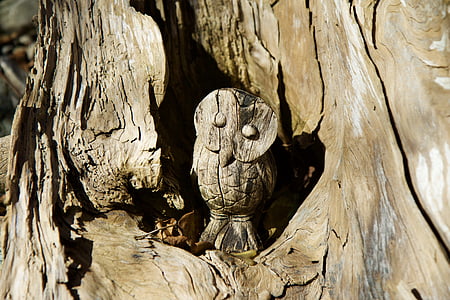 wood, log, rhizome, carving, owl