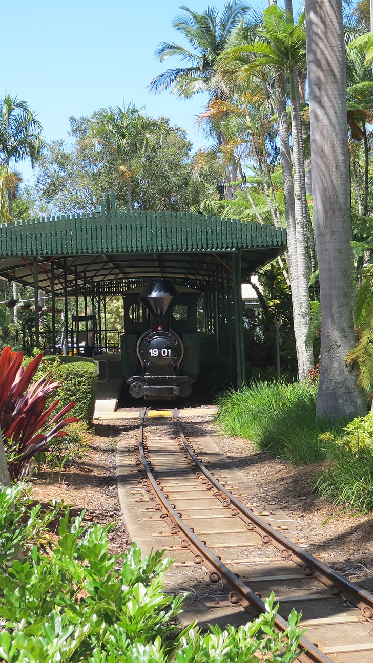 locomotora de vapor, subtropical, jardín