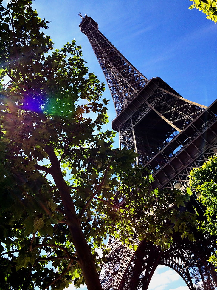 Eiffel, tháp, bên cạnh, cây, rõ ràng, bầu trời, Paris